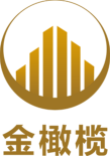 金橄榄信息技术