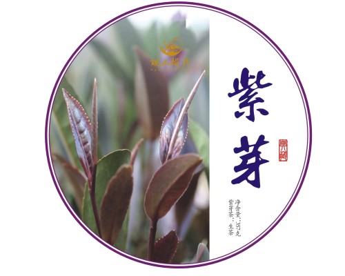 紫芽 普洱茶 （生茶）